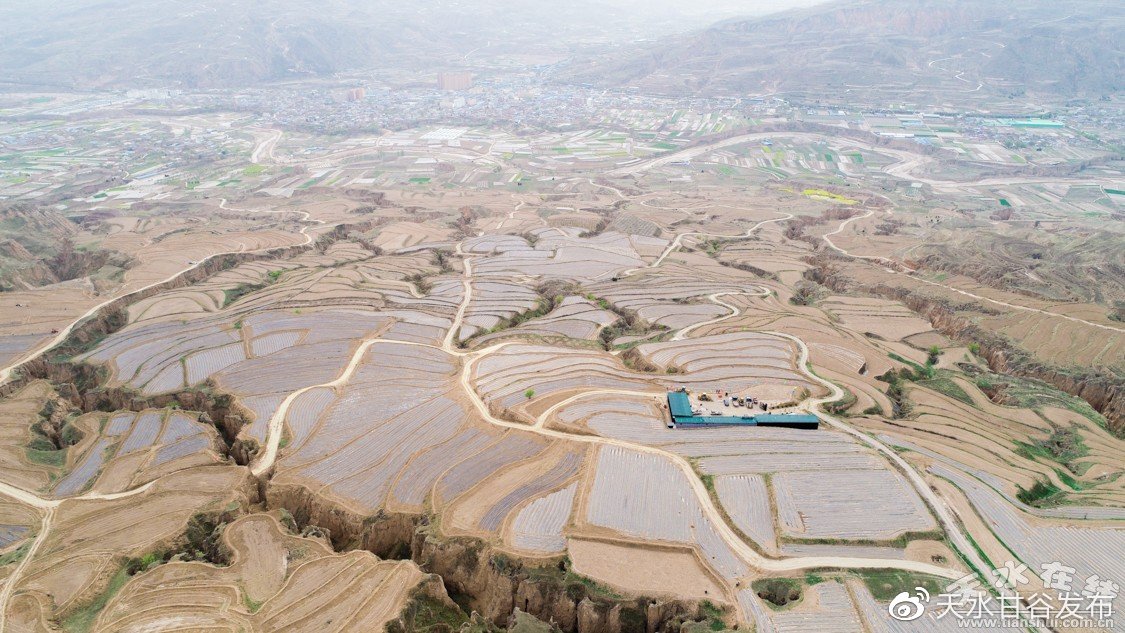 抖音直播怎么双击：掌握屏幕双击触发魅力新体验_dy业务24小时下单平台