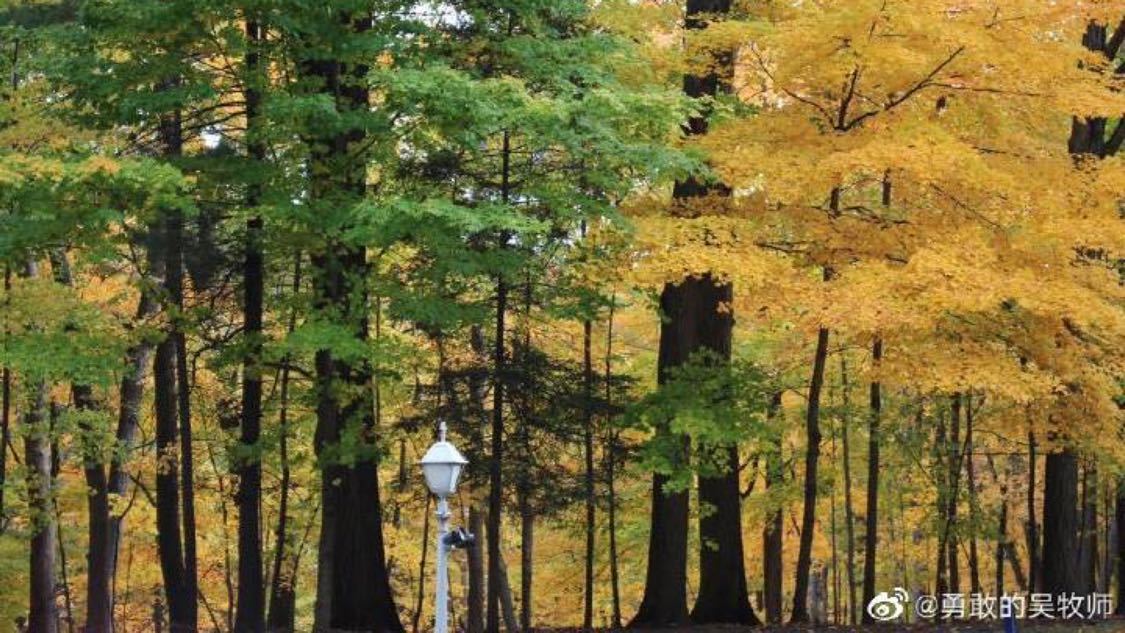 近期硬广推广数字化构建您的内容库:短视频推广与账号运营的一站式服务,抖音省双击市：城市隐藏美景发现不一样的生活乐趣